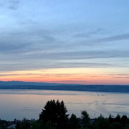 Les Vies En Rose Évian-les-Bains Exterior foto